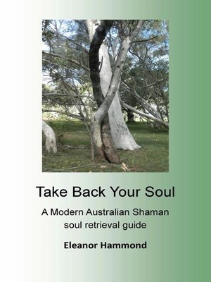 cover image of Take Back Your Soul
